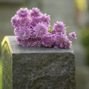 Pink flowers on grave stone