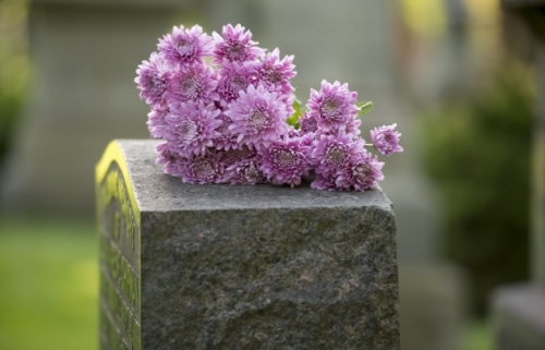 Pink flowers on grave stone